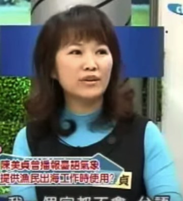 陳美貞 Chen Meizhen