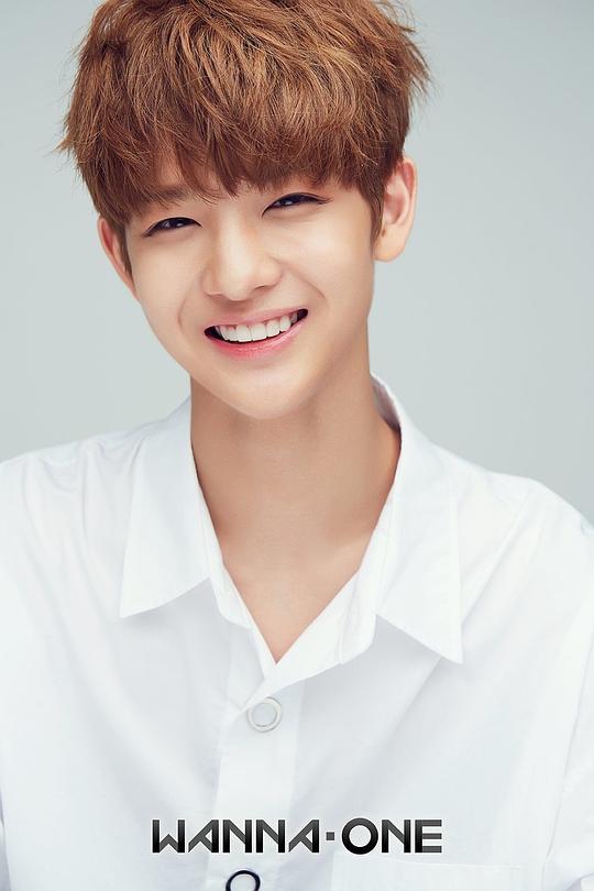 裴珍映 Jin-Young Bae