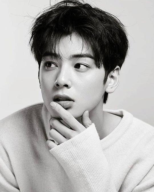 車銀優 Cha Eun-Woo